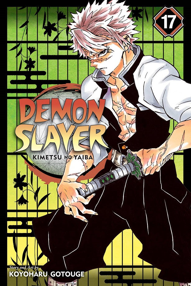 Demon Slayer - Kimetsu No Yaiba Vol 17