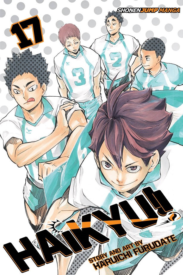 Haikyu GN Vol 17