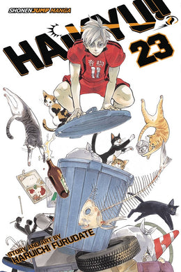 Haikyu GN Vol 23