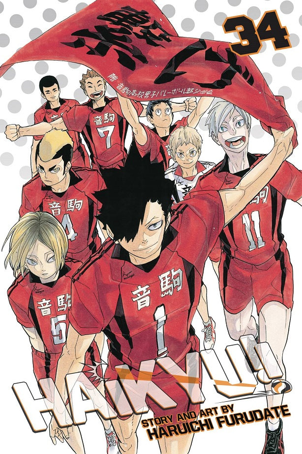 Haikyu GN Vol 34