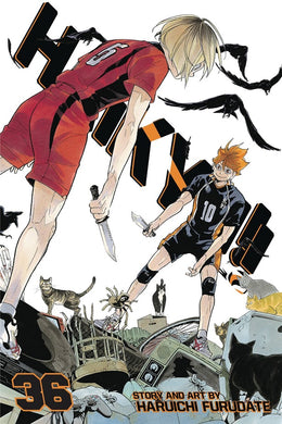 Haikyu GN Vol 36