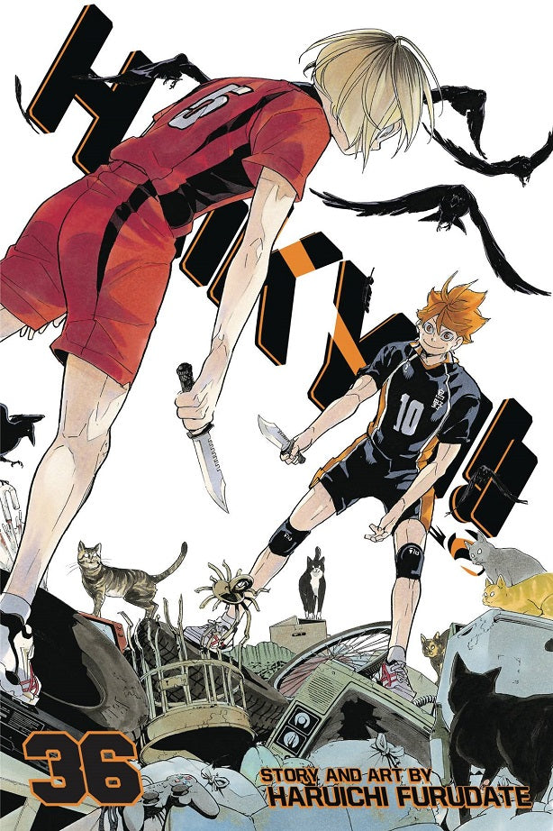 Haikyu GN Vol 36