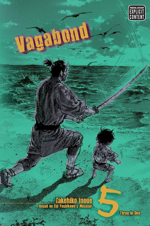 Vagabond VB ED Vol 05