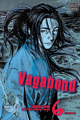 Vagabond VB ED Vol 06