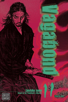 Vagabond VB ED Vol 11