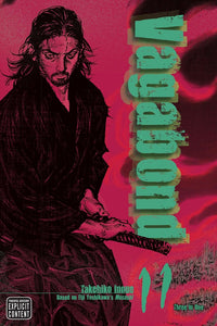 Vagabond VB ED Vol 11